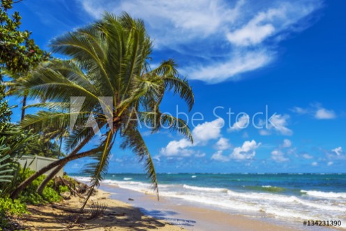 Picture of Punaluu Beach on Oahu Island Hawaii